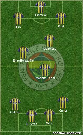 Fenerbahçe SK Formation 2014