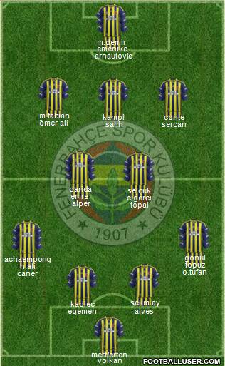 Fenerbahçe SK Formation 2014