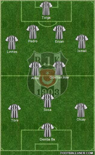Besiktas JK Formation 2014