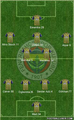 Fenerbahçe SK Formation 2014