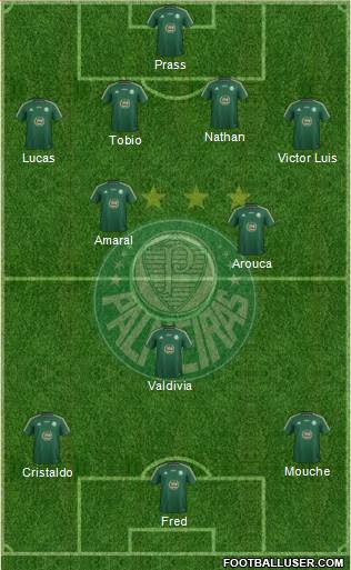 SE Palmeiras Formation 2014