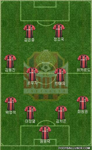 FC Seoul Formation 2014