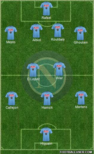 Napoli Formation 2014
