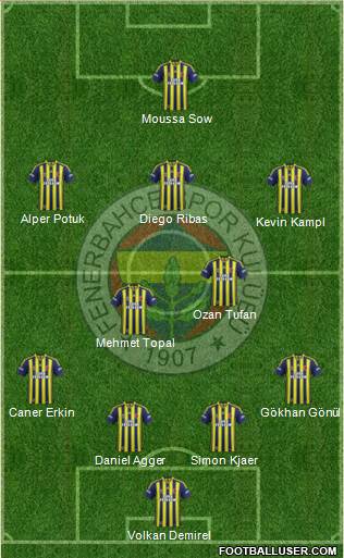 Fenerbahçe SK Formation 2014