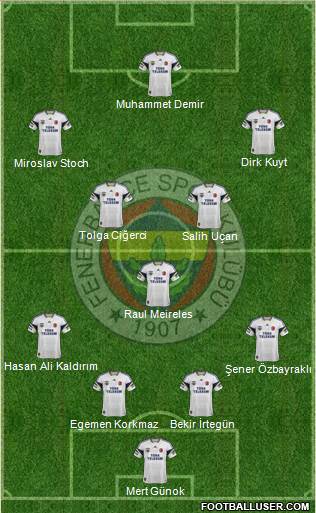 Fenerbahçe SK Formation 2014