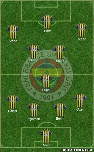 Fenerbahçe SK Formation 2014