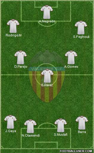Valencia C.F., S.A.D. Formation 2014