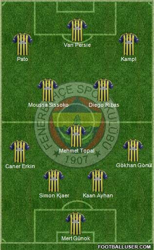Fenerbahçe SK Formation 2014