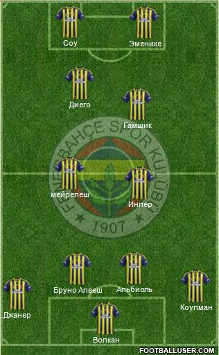 Fenerbahçe SK Formation 2014
