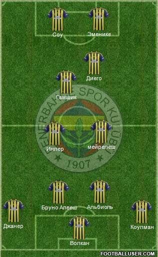 Fenerbahçe SK Formation 2014