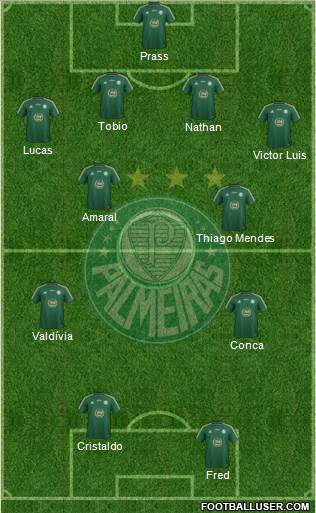 SE Palmeiras Formation 2014