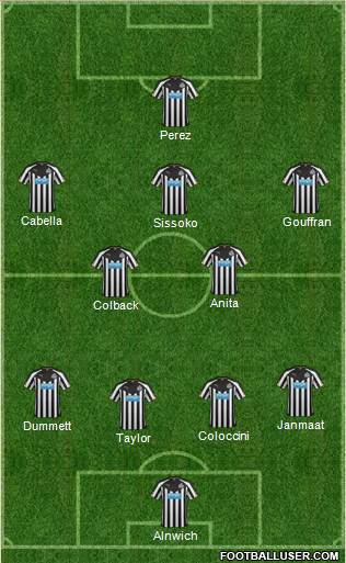 Newcastle United Formation 2014