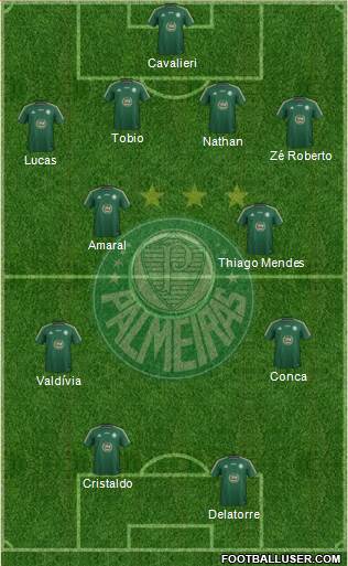 SE Palmeiras Formation 2014