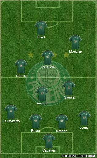 SE Palmeiras Formation 2014