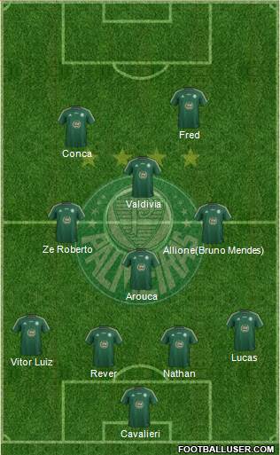 SE Palmeiras Formation 2014