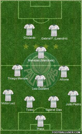 SE Palmeiras Formation 2014