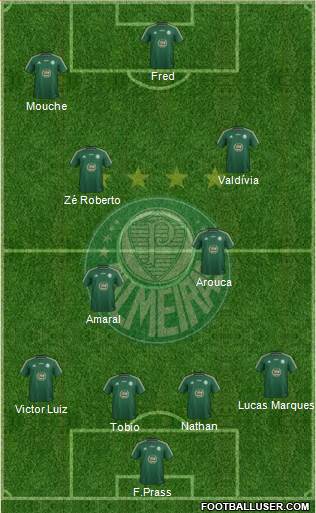 SE Palmeiras Formation 2014