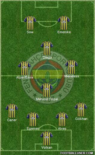 Fenerbahçe SK Formation 2014