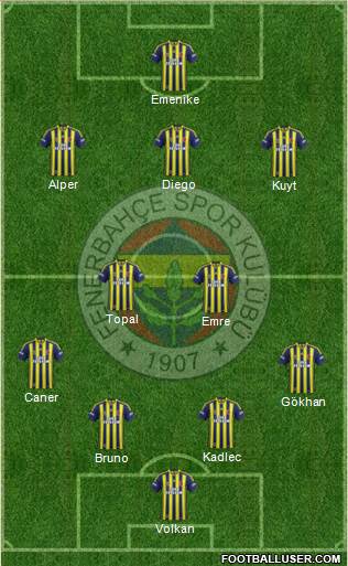Fenerbahçe SK Formation 2014