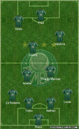 SE Palmeiras Formation 2014