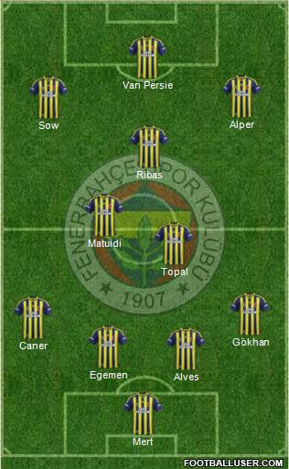 Fenerbahçe SK Formation 2014