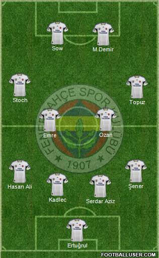 Fenerbahçe SK Formation 2014