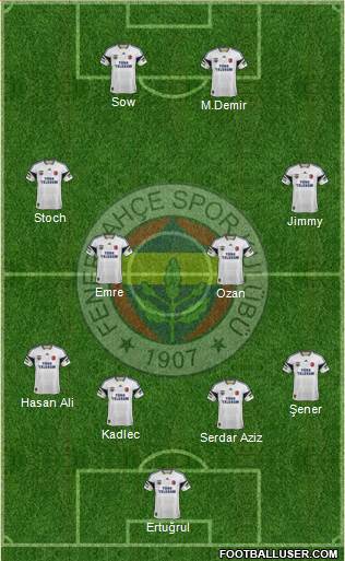 Fenerbahçe SK Formation 2014
