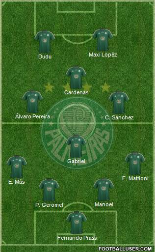 SE Palmeiras Formation 2014