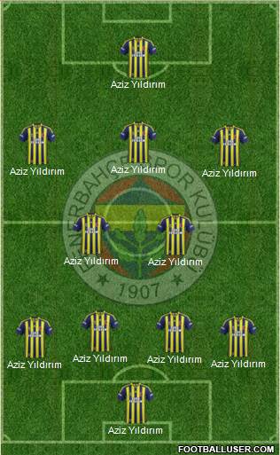 Fenerbahçe SK Formation 2014