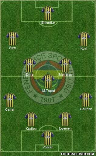 Fenerbahçe SK Formation 2014