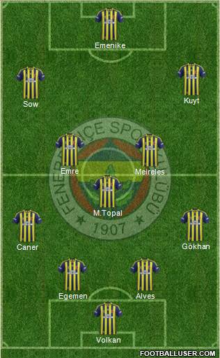 Fenerbahçe SK Formation 2014