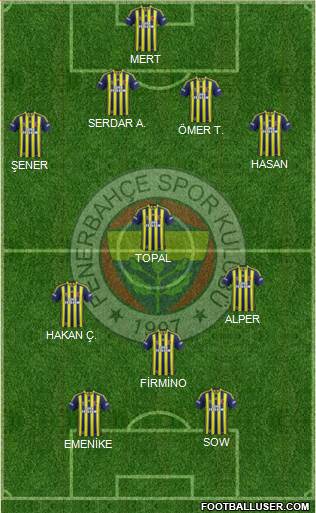Fenerbahçe SK Formation 2014