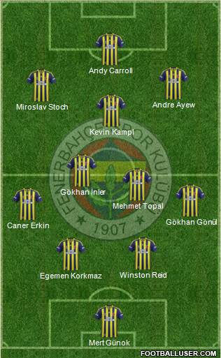 Fenerbahçe SK Formation 2014
