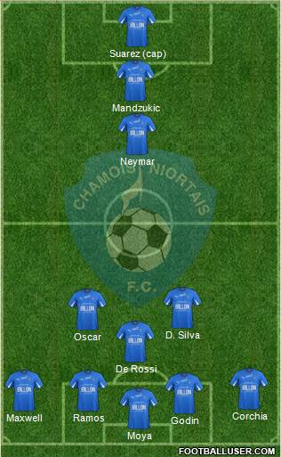 Chamois Niortais Football Club Formation 2014