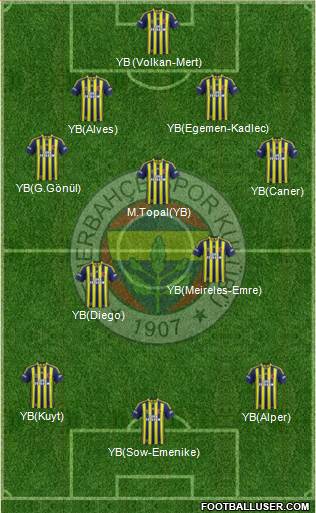 Fenerbahçe SK Formation 2014