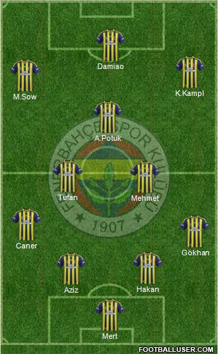 Fenerbahçe SK Formation 2014