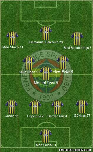 Fenerbahçe SK Formation 2014
