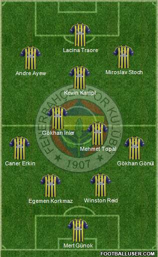 Fenerbahçe SK Formation 2014