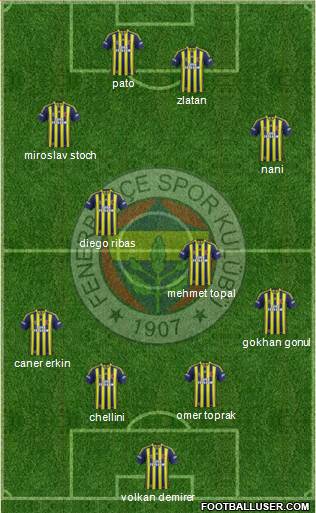 Fenerbahçe SK Formation 2014