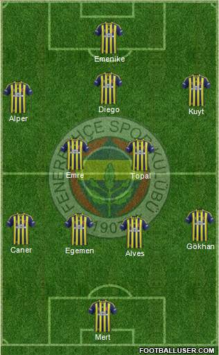 Fenerbahçe SK Formation 2014