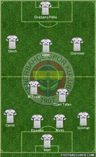 Fenerbahçe SK Formation 2014