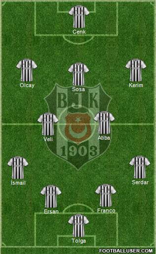 Besiktas JK Formation 2014