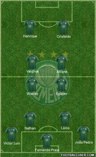 SE Palmeiras Formation 2014