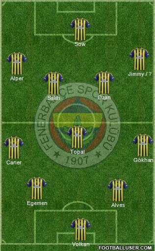 Fenerbahçe SK Formation 2014