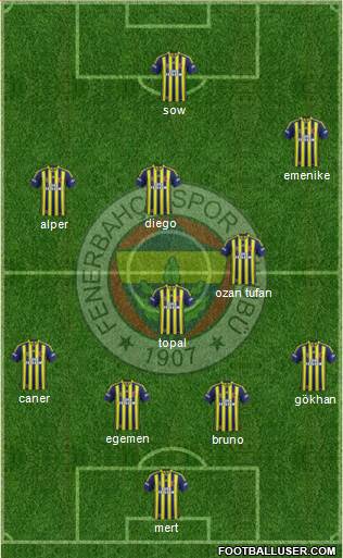 Fenerbahçe SK Formation 2014