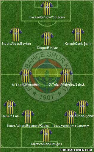 Fenerbahçe SK Formation 2014