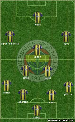 Fenerbahçe SK Formation 2014