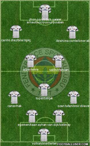 Fenerbahçe SK Formation 2014