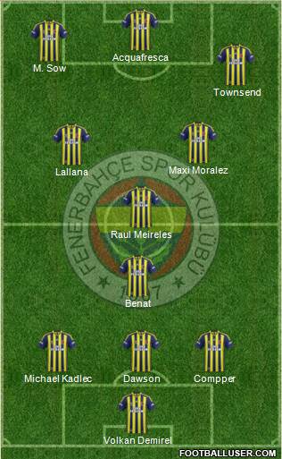 Fenerbahçe SK Formation 2014