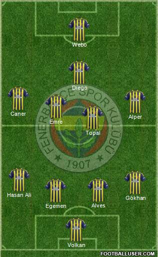 Fenerbahçe SK Formation 2014